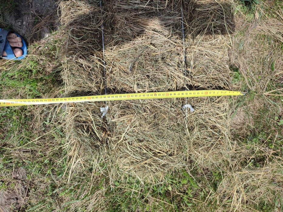 Продам сіно, тюки сіна (великі)