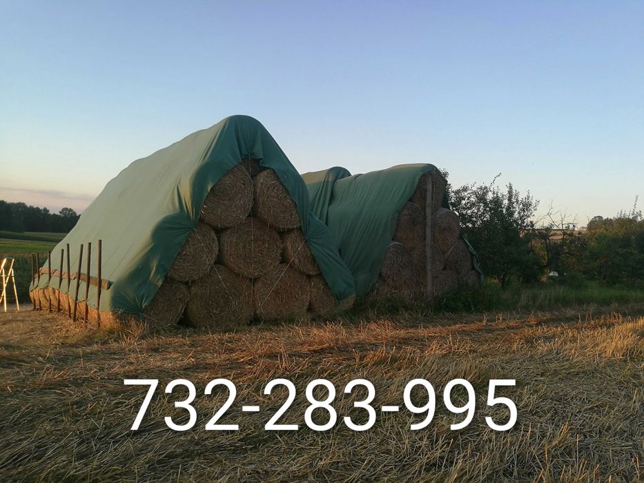 Sprzedam słome w belach