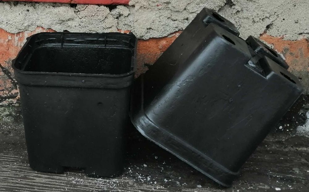 Doniczki P7 0,25L PROMOCJA kwadratowe 7x7x 7cm 7 cm szkółkarskie