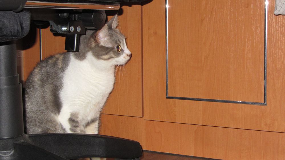 Фотоапарат Canon PowerShot SX230 HS вінтажна мильница