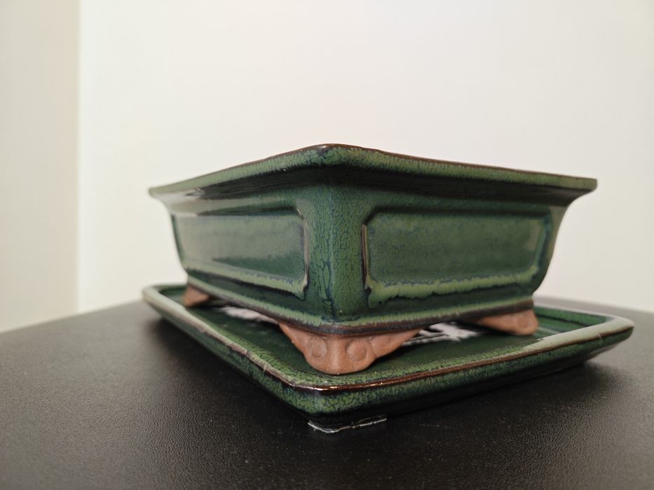 Vaso para bonsai em verde