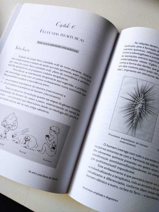 As Mil e Uma Faces do Dente de Célia Galitesi