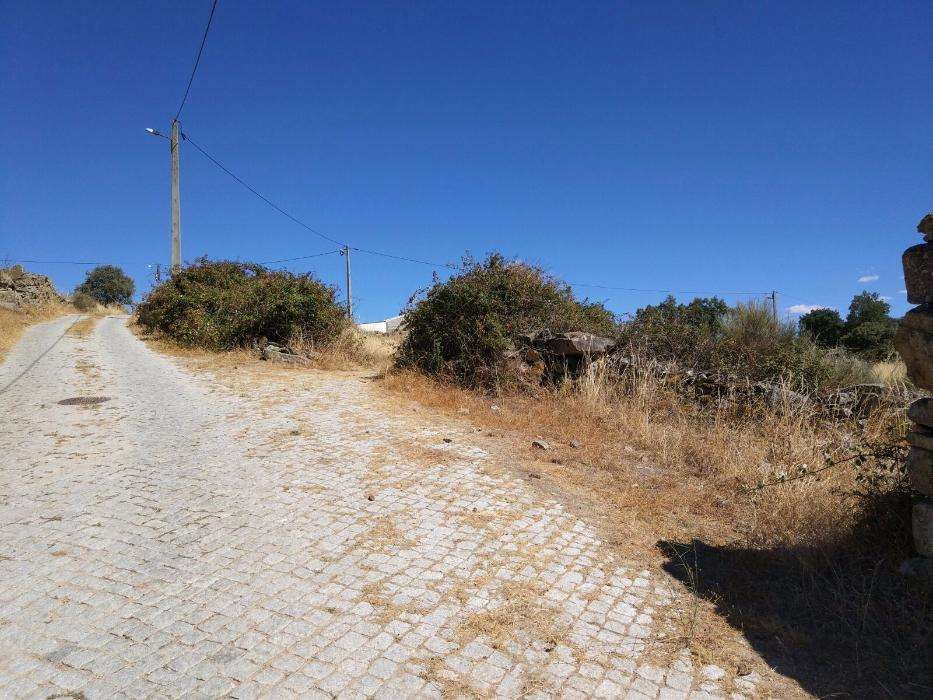 Terreno em Cinco Vilas 2428m2 - Fig Castelo Rodrigo/Guarda