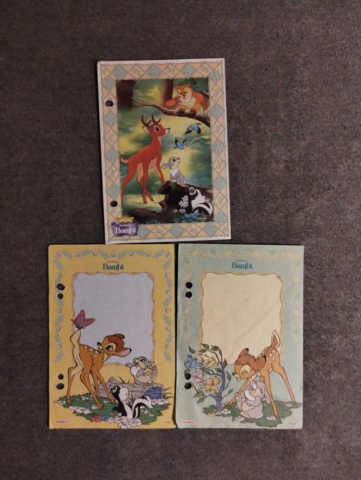 Karteczki do segregatora