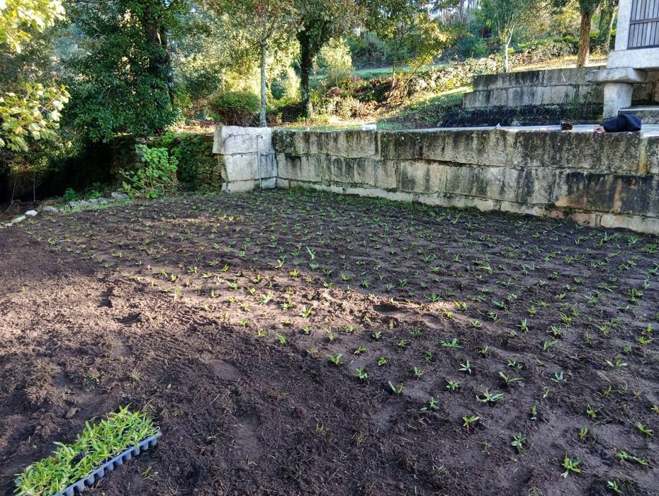 Serviço de limpeza de terrenos/ jardinagem