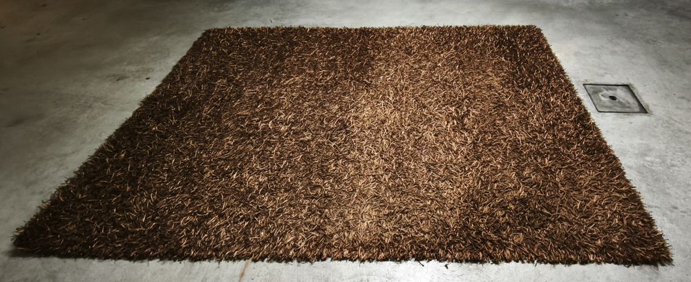 Tapete 300x210cm