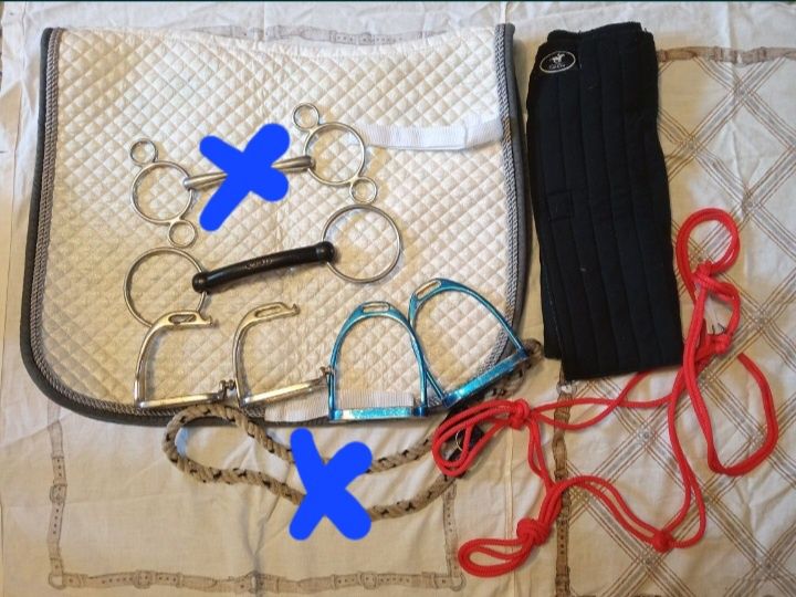 Амуніція для коня лошади