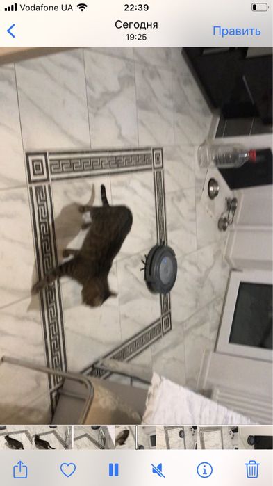 Робот Пылесос Dirt Devil Libero M606-3/Идеал