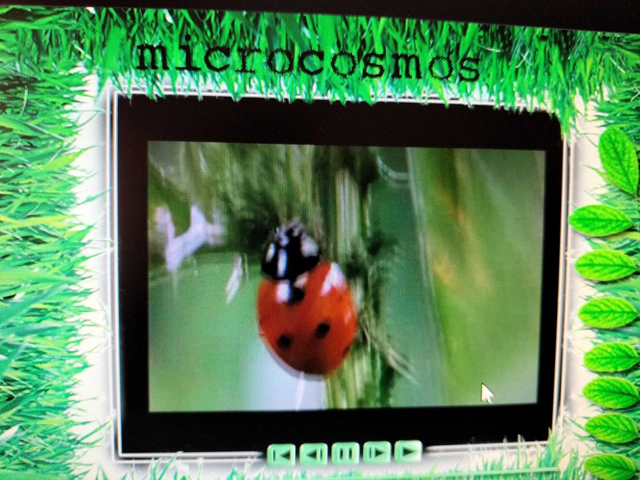 Film Micro-cosmos