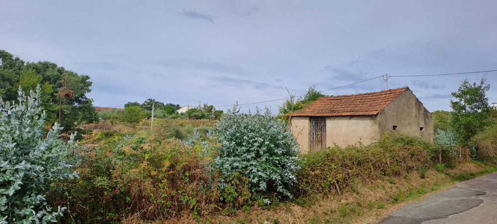 Quinta com 10 hectares, Cernache do Bonjardim, no Centro de Portugal.