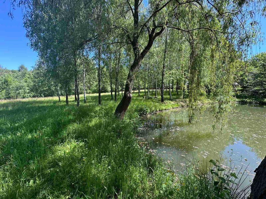 Продається земельна ділянка в с. Ракош