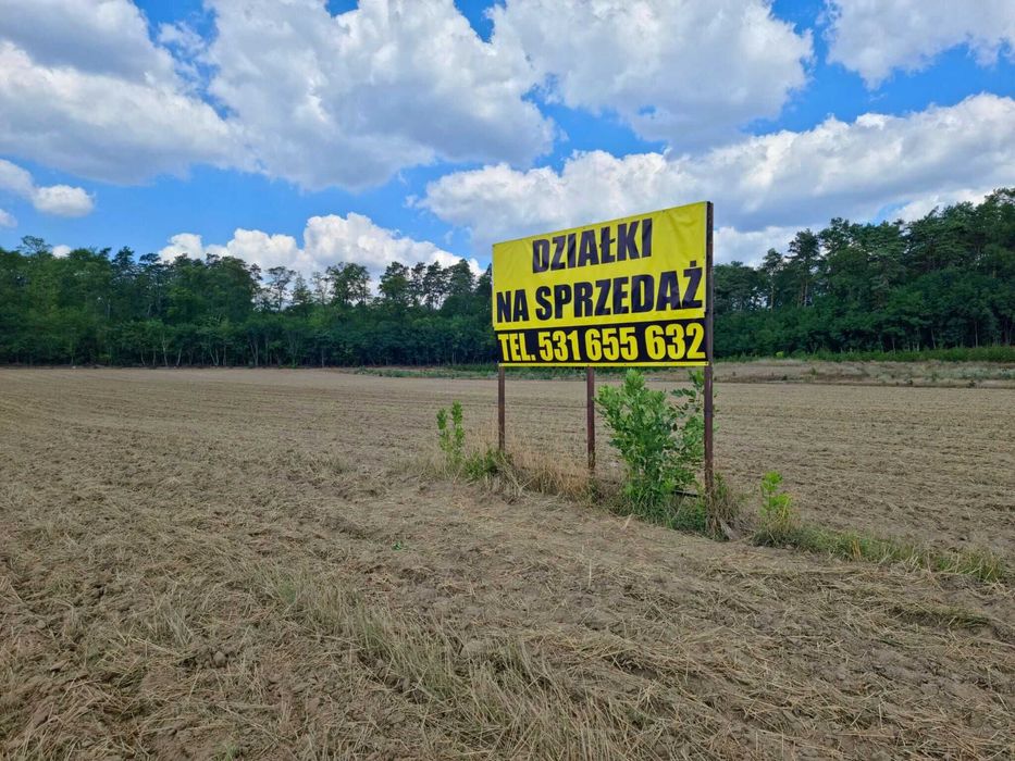 działka budowlana pod lasem