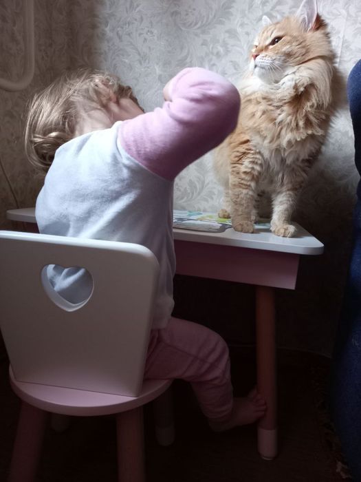 Детский столик и стульчик. Стол, стул