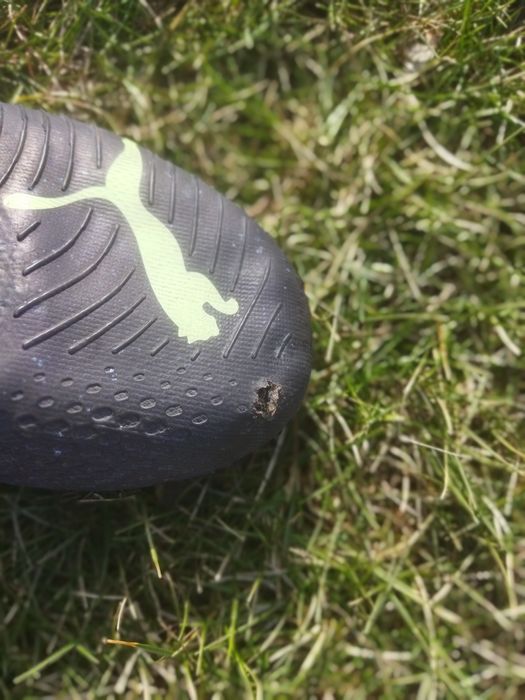 Бутсы puma future