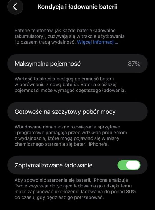 iPhone 13 Pro Max 512GB Silver IDEALNY