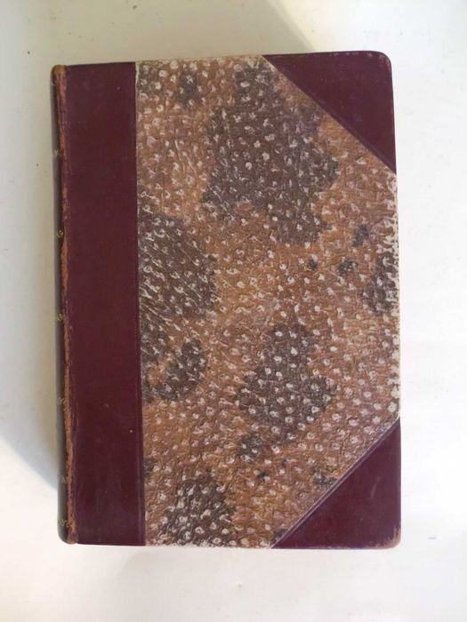 Ana Karenina
de Leão Tolstoi