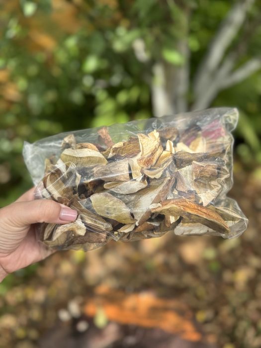 Сушені білі гриби 2025 рік збору