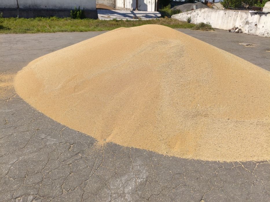 Продам просо жовте