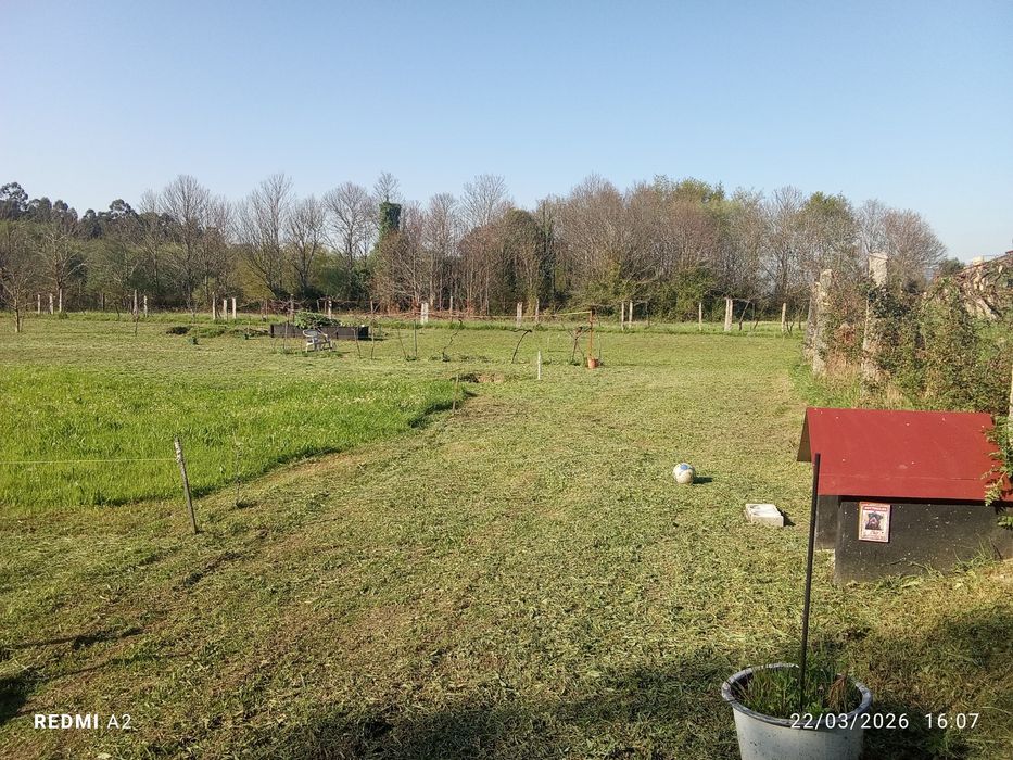 terreno pomar 3100 m2