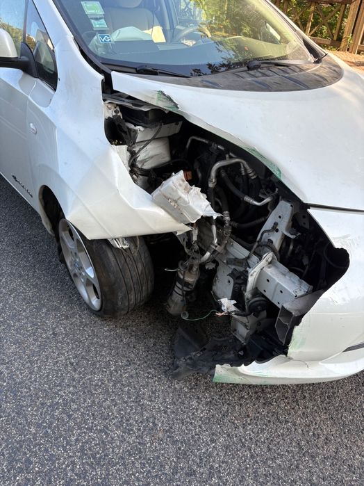 Salvado Nissan Leaf 24 kWh (10 barras)