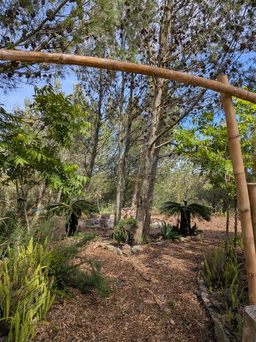 Quinta em Cascais