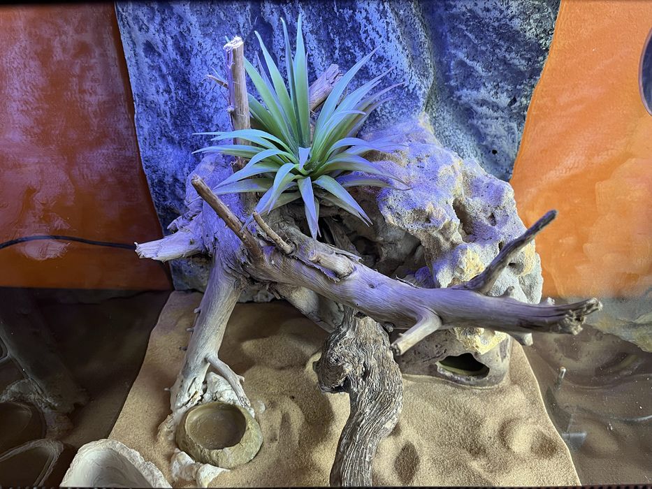 Terrário ExoTerra 30x30x30 – Totalmente Equipado