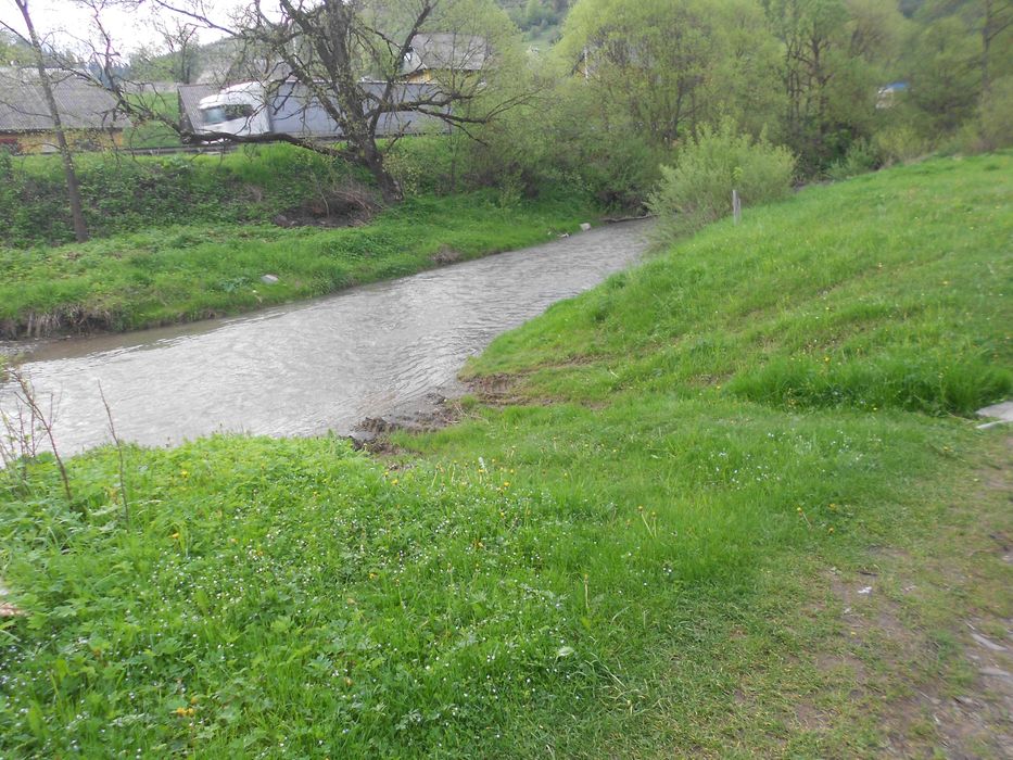 Житловий будинок та земельна ділянка 55,3 сот. с.Козьова