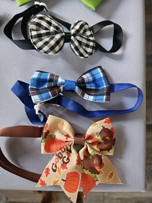 Sprzedam akcesoria dla pieska