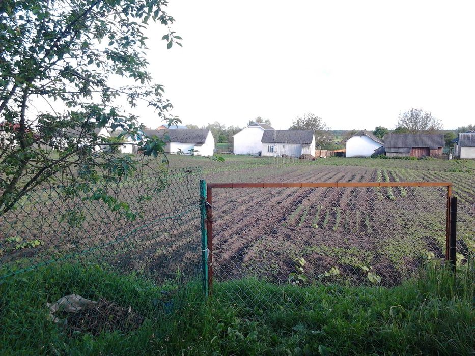 Продається будинок з земельною ділянкою