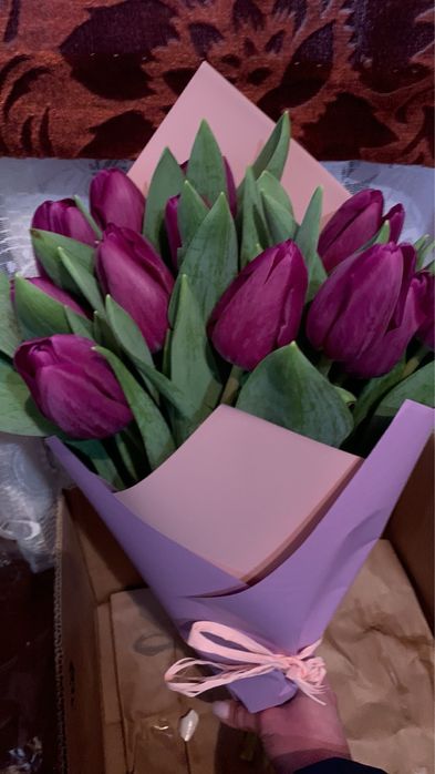 Тюльпани Україна та Голандія