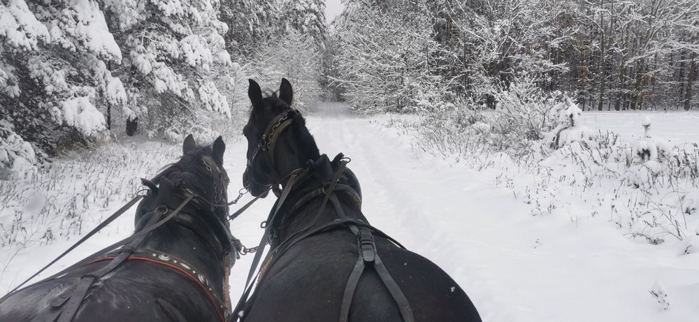 Kulig Konny Bobrówka!