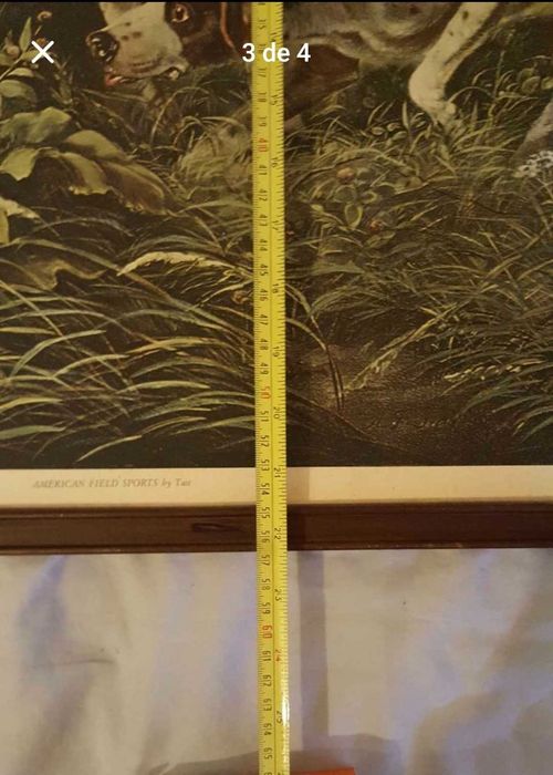 Quadro Antigo medidas nas fotos ver fotos