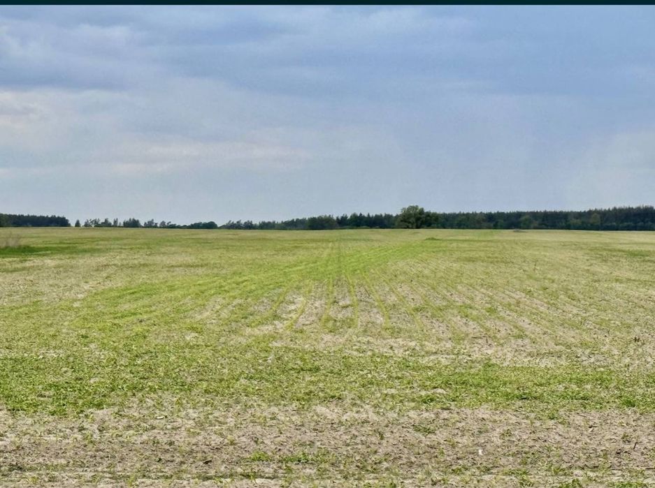 Земельна ділянка 27га. с. Андріївка