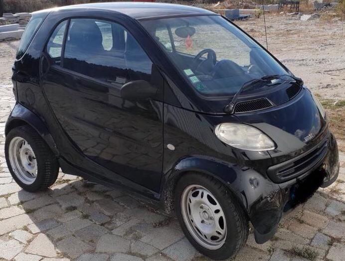 Frente guarda lamas Smart Fortwo 1g 450