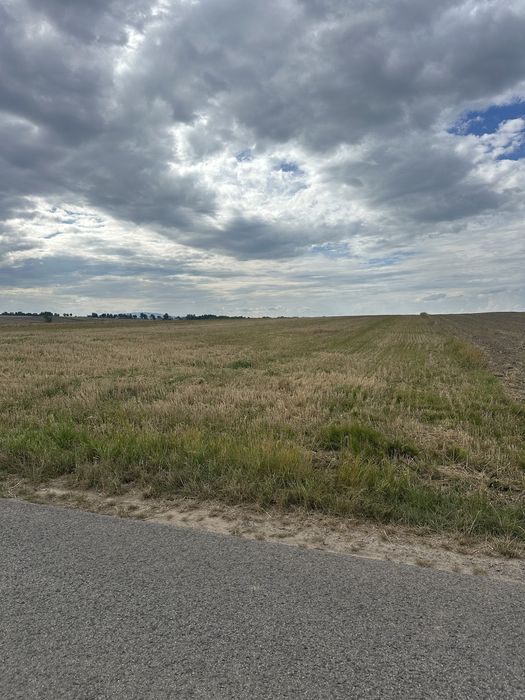 Działka rolno-budowlana 1ha | WZ | asfalt | Strupice, gm. Waśniów - Widok 3