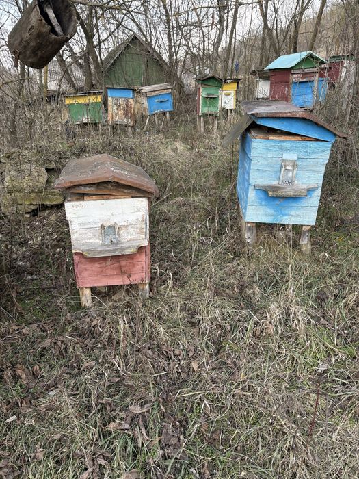 Продам вулики з рамками 30шт