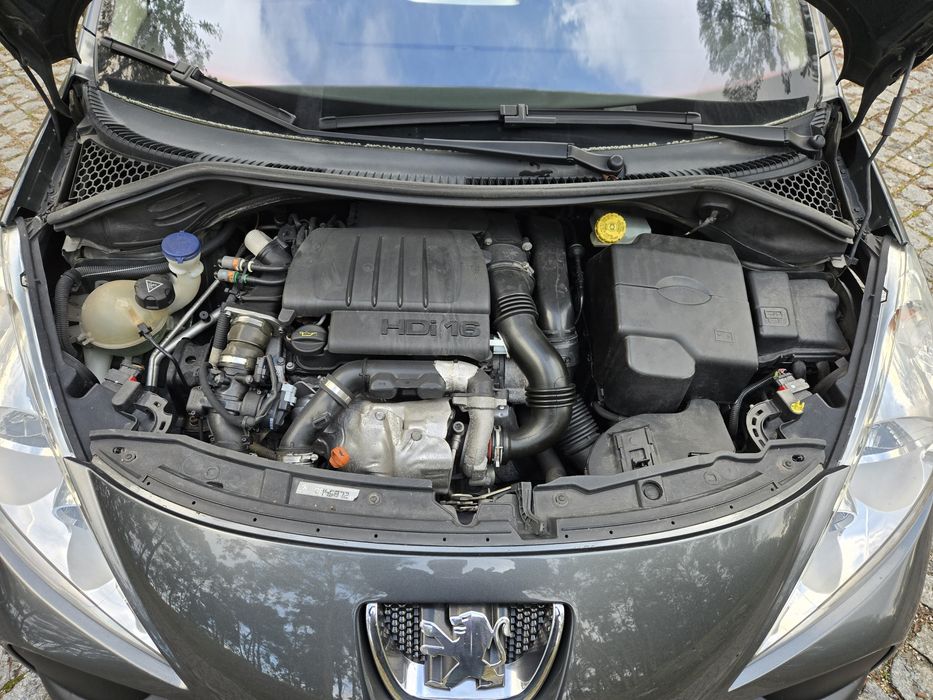 Teto panorâmico, distribuição trocada; registro de revisões na marca.