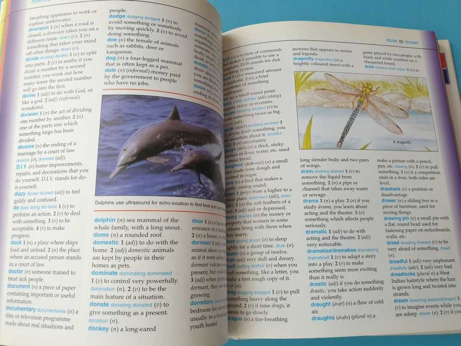 Dicionário de Inglês "Illustrated Dictionary"