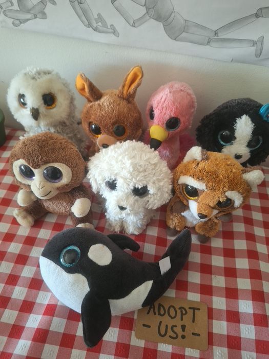 Peluches ty beanie boos