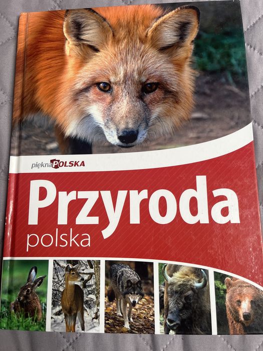 Książka Przyroda polska