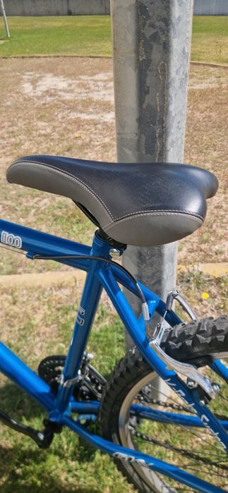 Bicicleta GKX RS 100 NOVA