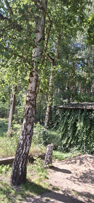 Sprzedam działkę z domem