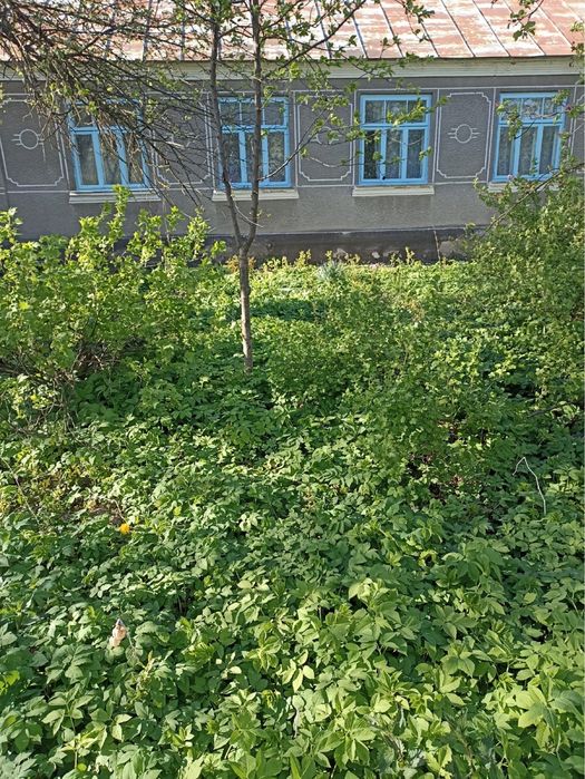 Продам будинок  біля Демидівки