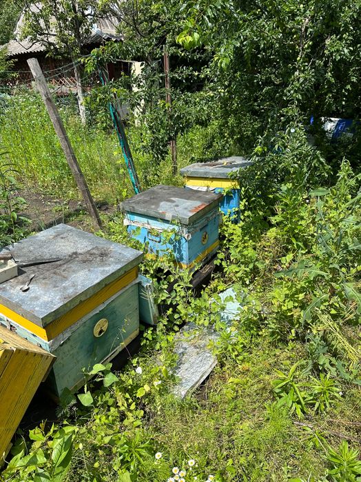 Продам вулики для бджіл