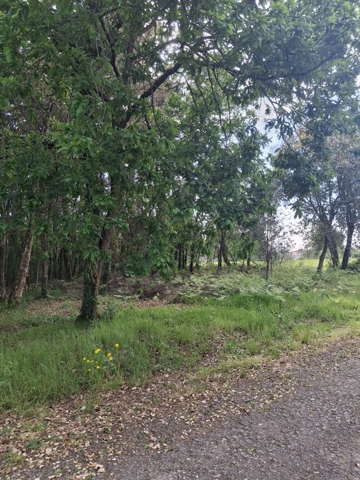 Terrenos para venda