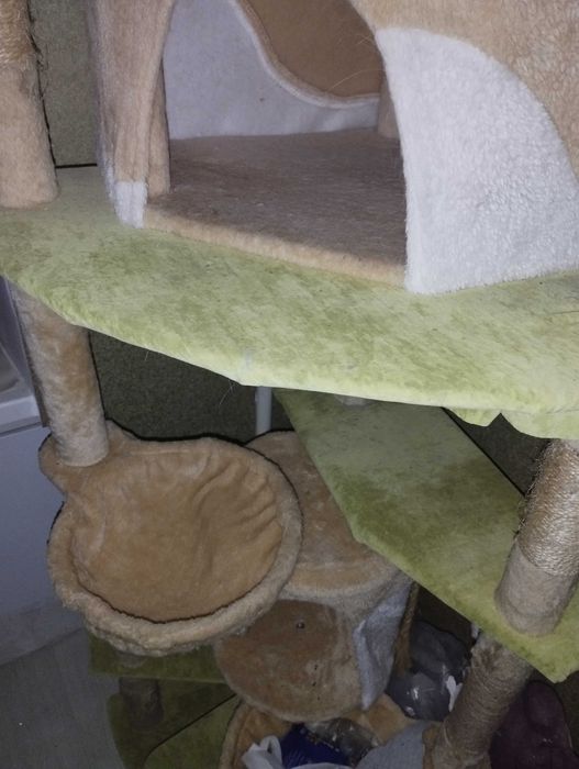 Домівка для кота