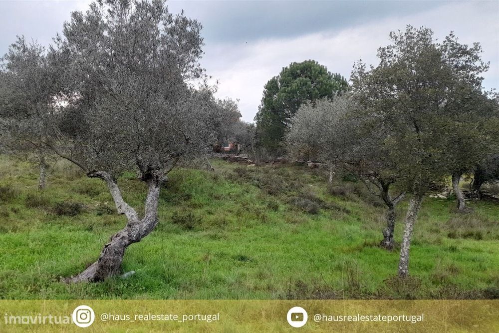 Terreno Para Construção  Venda em Benquerenças,Castelo Branco — Benquerenças, Castelo Branco
