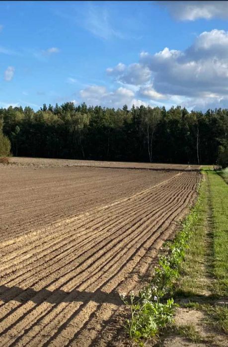 Działka budowlana obok lasu - Widok 2