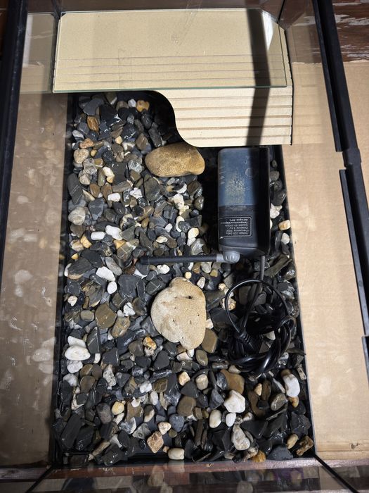 Aquario para tartarugas..