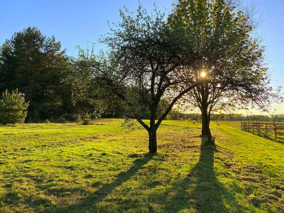 Działka rekreacyjno-budowlana, 1000 m2, Puszcza Stromiecka